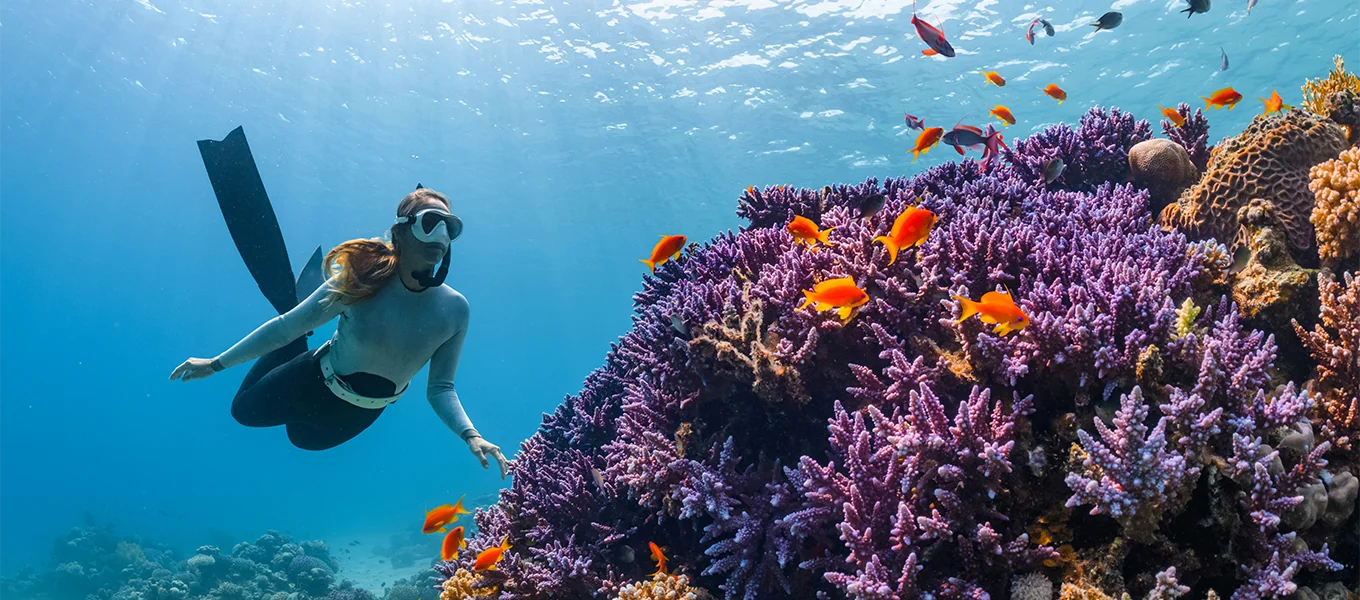 Red Sea & Sinai